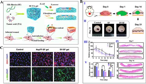  Silk Fibroin: Revolutionäre Biokompatibilität und Faszinierende Selbstorganisation für Medizintechnische Anwendungen!