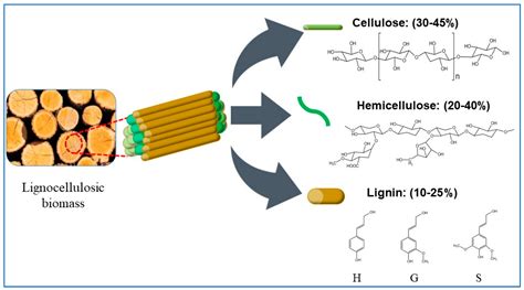  Lignocellulose – Eine nachhaltige Wunderwaffe für die Zukunft des Leichtbaus?