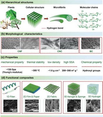 Nanocellulose – Wunderwerk der Nanotechnologie für innovative Verbundwerkstoffe!